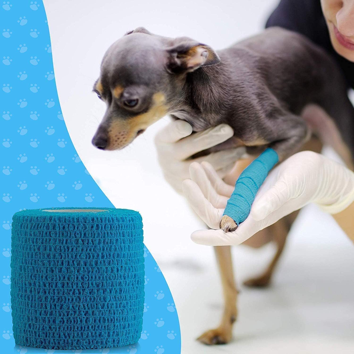 Vet Wrap (Pack of 122 inch x 5 Yard Rolls) Self Adherent Wrap