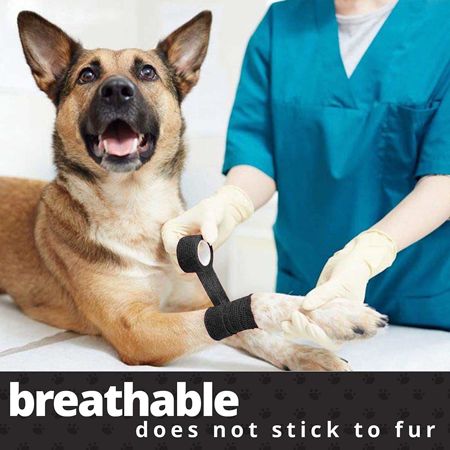 Vet Wrap (Pack of 62 inch x 5 Yard Rolls) Self Adherent Wrap